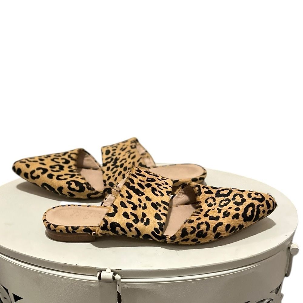 Steve Madden Berlin Leopard Haircalf Mules | Size 8